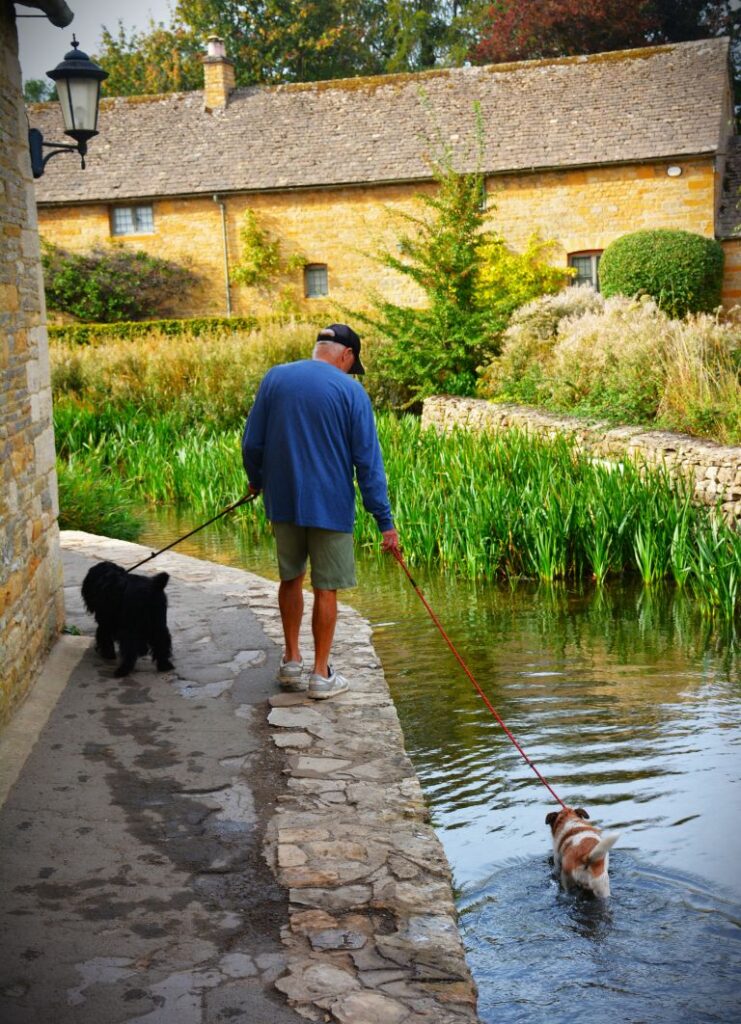 Man with dogs in creek in Lower Slaughter Cotswolds England
