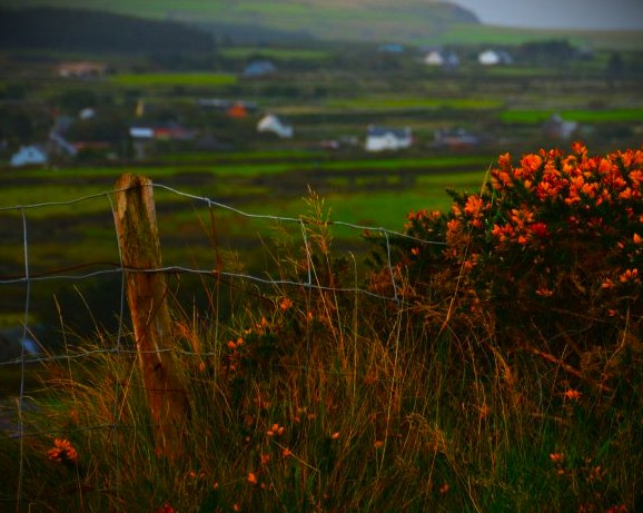 Dingle Peninsula Ireland