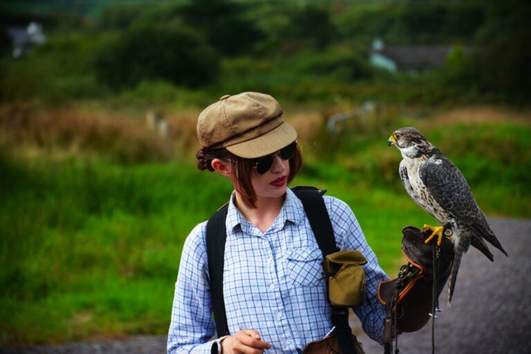 The Kingdom Falconry.