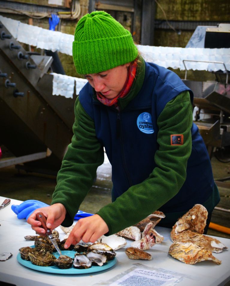 DK Oyster Farm tasting